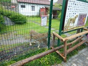 Výlet do ZOO Chleby a Labyrintária Loučeň